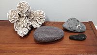 All four rock and mineral specimens displayed on a wooden surface: a desert rose cluster, a large smooth flat gray stone, a medium gray rock with white inclusions, and a small dark elongated stone.
