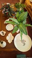 Overview of all items including artificial plants, white ceramic dishes, candy dishes, planter, and decorative items on wooden surface