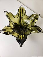 Top-down view showing the full star-shaped outline and the color gradient of yellow-green with black highlights.