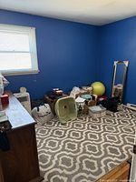 Photo shows a room with blue walls, a window with blinds, a standing mirror, a chest of drawers, various household items scattered around the sides and a large area rug on the floor.