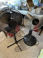 Two standing fans side by side, one black with black blades and one silver with white blades, on carpeted floor among household items.