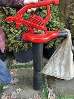 Front angled view showing Toro branded red blower vac held by person, illustrating handle, power cord, and nozzle.