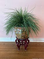 Front view of the Japanese style jardiniere with the green plant and rosewood stand, showing the intricate painted designs and plant fullness.