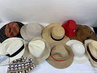 Top view of 12 assorted hats in various colors and styles showing full lot contents.