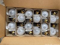 Box opened showing 24 GE incandescent A19 frosted light bulbs with medium screw bases