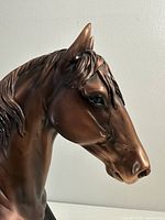 Close-up of the horse head bronze sculpture showing detailed facial features and mane texture.