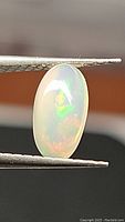 Close-up photo of the oval Ethiopian opal held in tweezers showing vivid rainbow flashes within the translucent body.