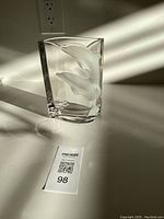 Clear glass vase with two frosted dolphins in relief, shown from front angle under natural light.