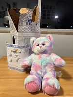 Pastel rainbow plush cat sitting in front of its original Build-A-Bear Workshop box and welcome certificate for detailed view.