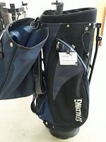 Side view of the Spalding golf bag showing zippered pockets, fabric texture, and stand mechanism.