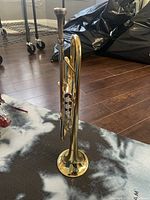 Trumpet standing upright on patterned mat, showing overall form and finish