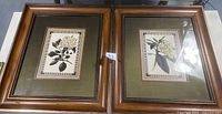 Two framed floral prints displayed side by side showing botanical illustrations of white flowers and green leaves in wood frames with detailed carved edges and green matting.
