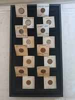 Photo showing assorted collectible pennies in protective sleeves arranged in one black display tray. Each penny sleeve has handwritten notes indicating type and year.