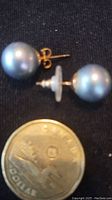 Pair of blue-gray pearl stud earrings with gold posts shown next to a Canadian one-dollar coin for size comparison.