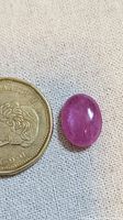 Pink oval ruby cabochon gemstone placed next to coin for size comparison, showing smooth polished surface and pink color.
