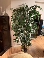 Full height view of artificial ficus tree with dense green leaves and multiple trunks in woven basket pot on wooden floor.