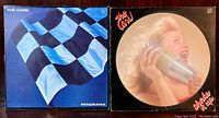 Photo showing both vinyl album covers side by side: 'Panorama' with blue checkered flag and 'Shake It Up' picture disc.