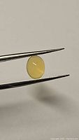 Photo of natural oval cabochon yellow fire opal held in tweezers showing translucency and smooth surface.