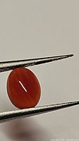 Macro image of an oval cabochon fire red carnelian gemstone held with tweezers showing smooth polished surface and rich red color.