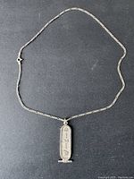 Full view of the necklace with cartouche pendant laid flat on black background