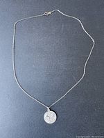 Full view of the silver chain necklace laid out flat to show overall condition and length.