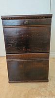 Front view of the dark wood file cabinet showing two drawers and wood grain texture.