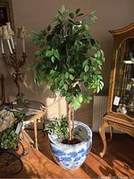Full view of the ceramic planter with the faux Ficus tree inside, showing the height and foliage of the tree and planter size.