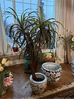 Photo of both planters and faux Dracaena tree in indoor setting near window with floor and decor visible