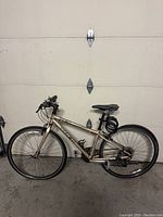 Side profile of champagne bronze Trek hybrid bike against garage door