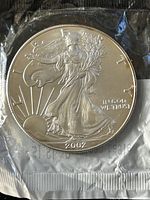 Front side of the 2002 American Silver Eagle coin showing Lady Liberty with flowing gown walking and sun rays.