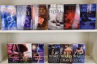 Photo of 12 fantasy fiction romance novels arranged in two rows.