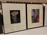 Two custom framed photographs showing a Calla Lily and a colorful fish.