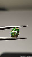 Close up of 1.06ct natural black opal held by tweezers showing vivid green and red colors.