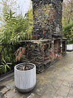 Photo of medium-sized gray and white vertically striped ceramic pot with a living Grevillea plant outside near stone fireplace structure.