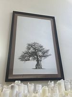 Full view of framed black and white botanical tree sketch leaning against wall