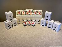 Full lot showing wooden rack, 9 chef spice holders each in boxes, and salt/pepper shakers in front of rack.