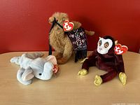 Front view of the three TY Beanie Babies - Elephant laying down, Camel standing, and Monkey sitting, all with tags