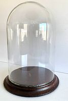 Full assembled display dome showing clear glass dome on wooden base.