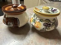 Two ceramic medium bowls with covers photographed side by side on a kitchen counter showing exterior designs.
