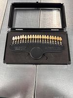 Open case showing teeth whitening shade guide with 20 artificial tooth samples arranged in a row and labeled for comparative whitening.
