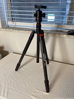 Full view of Neewer N55C tripod standing on a table with legs extended and angle adjusted.