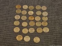 28 US dollar coins arranged on a gray textured surface showing a variety of Dwight D. Eisenhower, Sacagawea, and Presidential dollar coins.