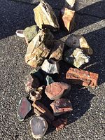 Overview of assorted large and small rocks including petrified wood pieces laid out on pavement showing color variety and sizes.