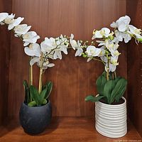 Two artificial white orchid plants displayed side by side on a wooden surface, one in a black pot and the other in a white pot.