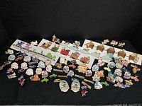 Wide view of entire collection of enamel pins on black background