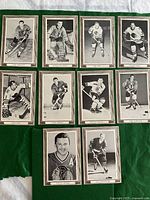 Overview of all 10 black and white Beehive hockey cards on green background.