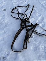 Full view of the antique leather horse harness laid out on snow, showing entirety of straps and buckles.