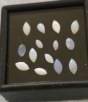 Photo showing a black jewelry box containing 14 small polished opal cabochon gemstones in marquise and oval shapes arranged in rows.