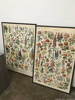 Two framed botanical floral poster prints leaning against a wall on floor, showing both prints fully with detailed colorful flower illustrations.
