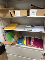 Shelving unit holding assorted colorful file folders, manilla envelopes, invoice pads, and boxes on upper shelf.
